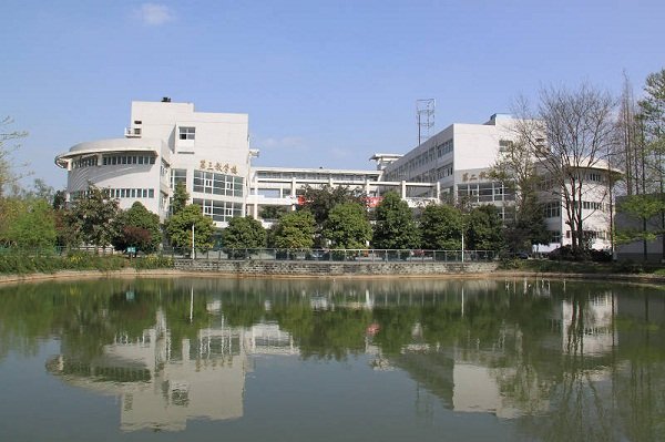 综合实力强