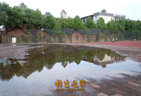 为社会培养高职人才13691人