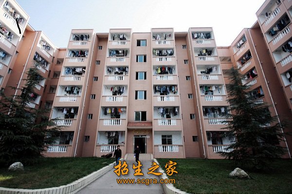 环境优雅