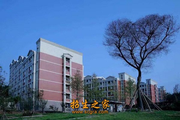 已培养出的8万多名毕业生绝大多数成为