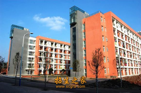 现拥有价值2793.52万元的现代教