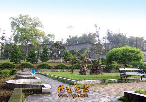 全国社会实践活动先进澳门永利平台手机