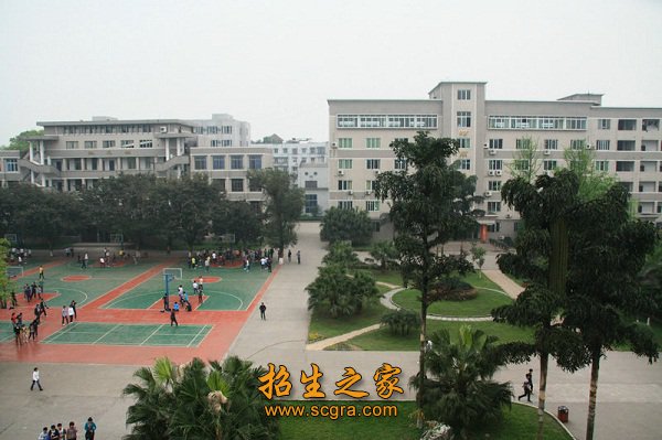 是由泸州本地两所职高树风职高和财经职