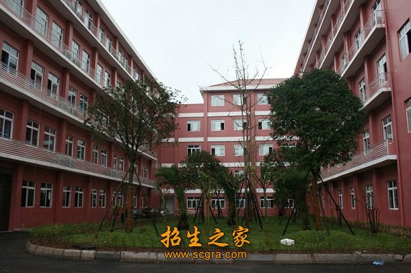 1989年转为公办澳门永利注册出任英