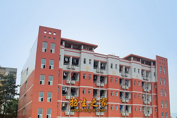 师资结构合理