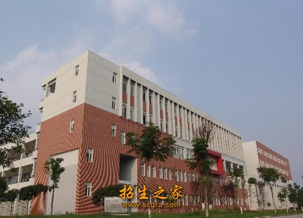 强化专业建设