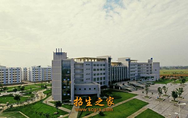 全国毕业生就业典型经验高校