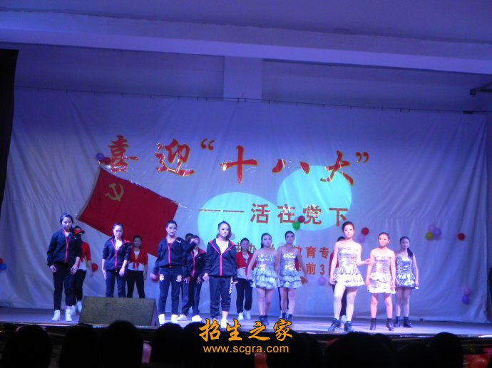 自上世纪九十年代以来