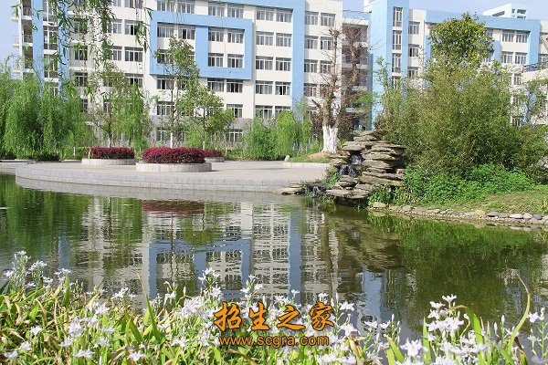 目前澳门永利注册与德甲联赛达成官方合