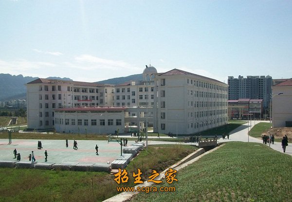 县级骨干教师35人