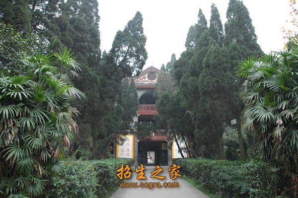 同类内容同栏目条目通常按时间倒序排列