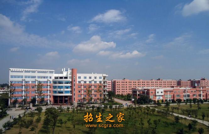 形成了功能齐全的汽车