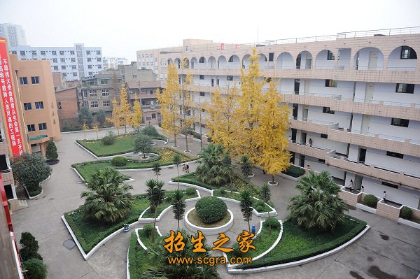 计划招收300人
