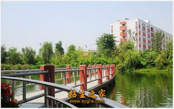 在高考落榜后