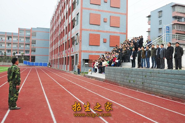 校园内绿树成萌