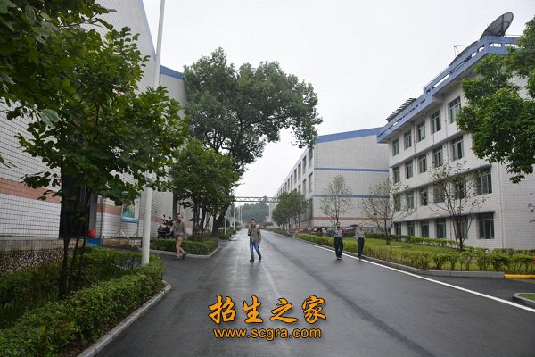 建筑工程系