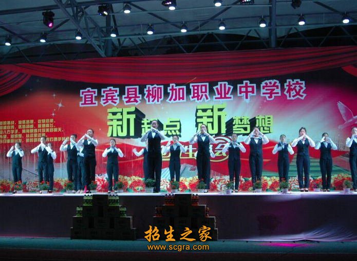 为宜宾市