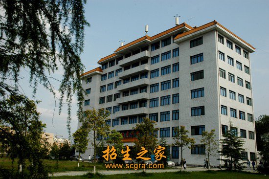校内专任教师485人