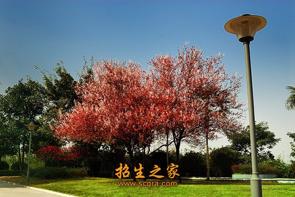 南充市劳务输出培训基地