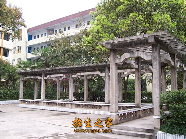 艺术等9系和中专部