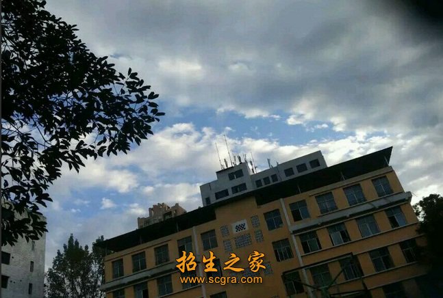 讲师60人