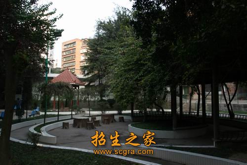 建校40多年来