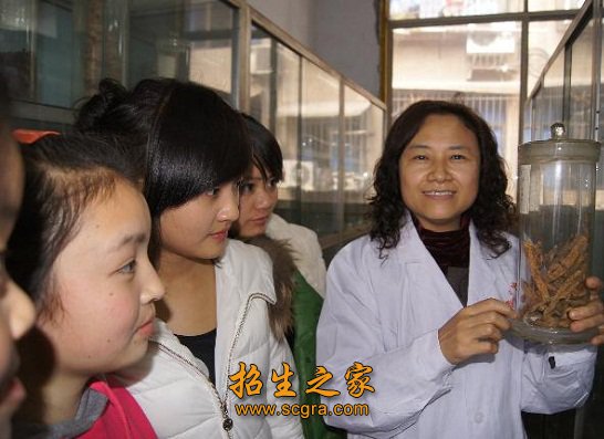 能医能护