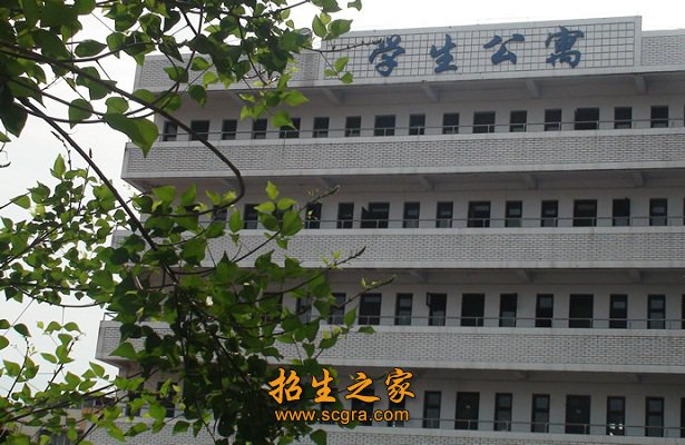 招生录取规则