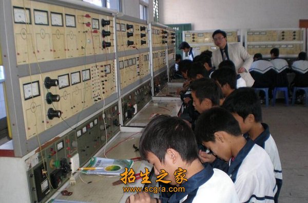 高级技术职称教师15名