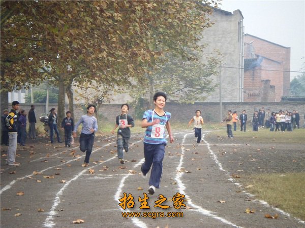 教学技艺精湛
