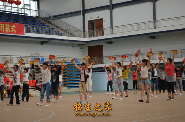 专业技能熟练