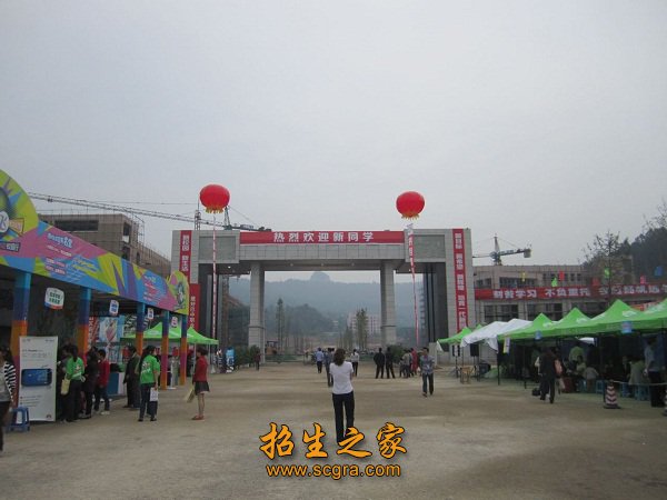 办学层次