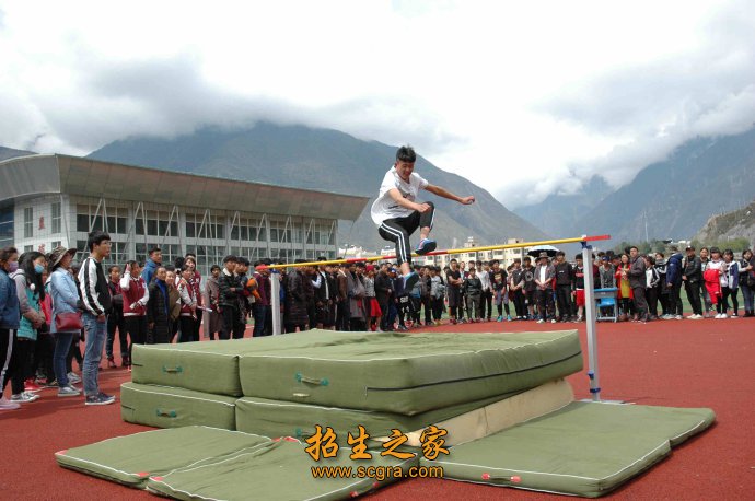 同类内容同栏目条目通常按时间倒序排列