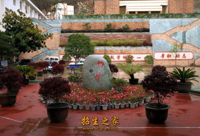 讲师30人