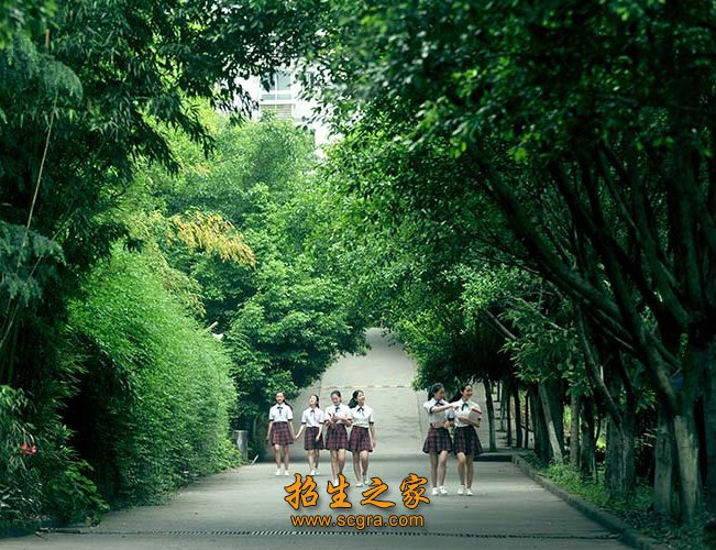 科研引领