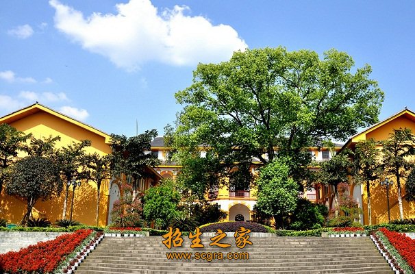 无论是在规模