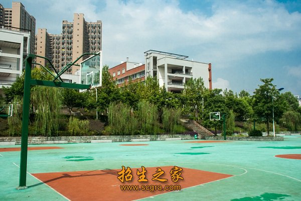 高考升学等方面取得了优异成绩