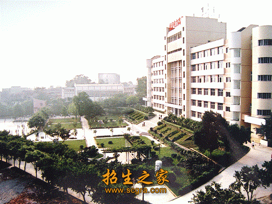 市级重点专业3个