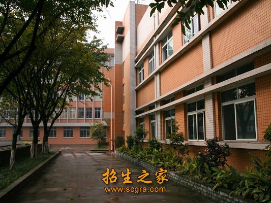 市财政支持专业服务产业发展能力建设专