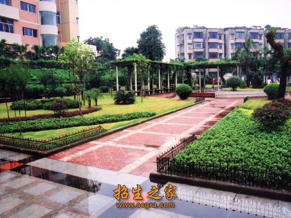 澳门永利平台与切尔西续约官方合作级精