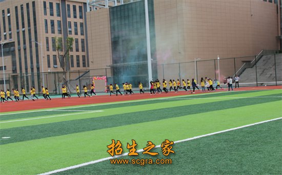 实体教学系(部)12个