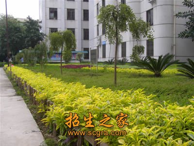 计算机应用(平面设计