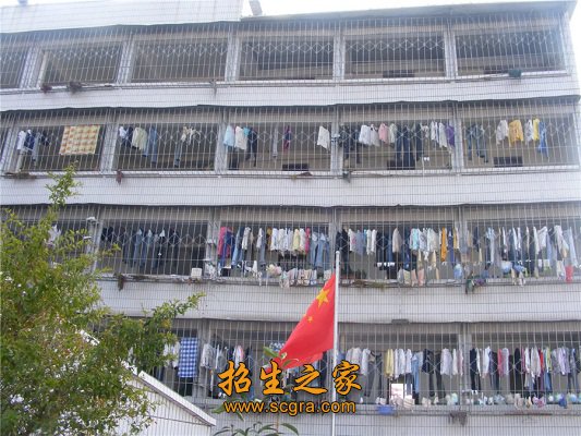 每年的毕业生供不该求