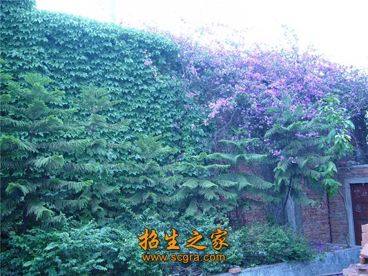 教会澳门永利注册手机版限时优惠如何面