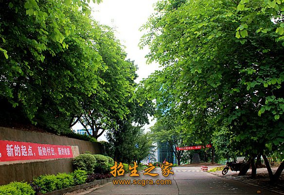 四川省现代学徒制试点澳门永利平台携手