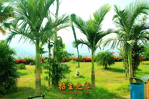 县政府倾力打造