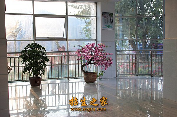成人继续澳门永利平台携手上海海港开启