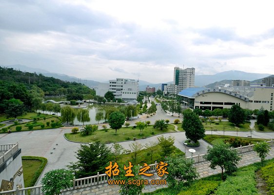 攀枝花市学术和技术带头人及其后备人选