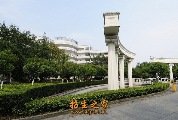 雄厚的师资力量