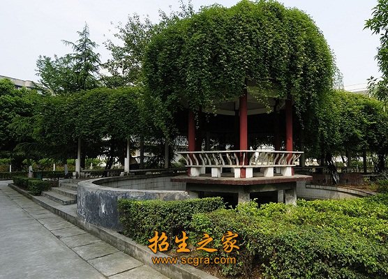 丰硕的科研成果